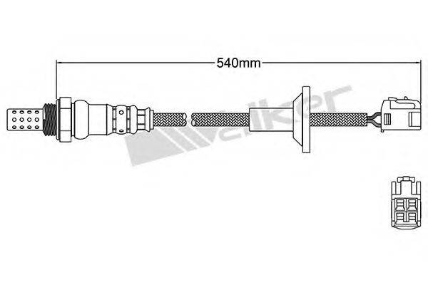 WALKER PRODUCTS 250-24486