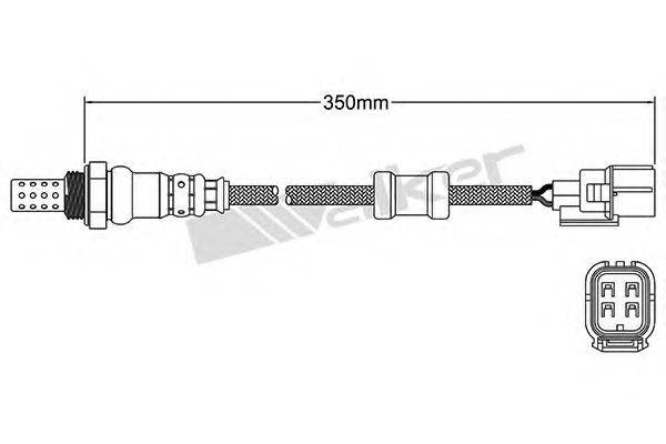 WALKER PRODUCTS 250-24786