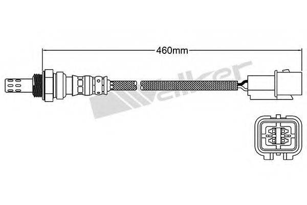 WALKER PRODUCTS 250-24461