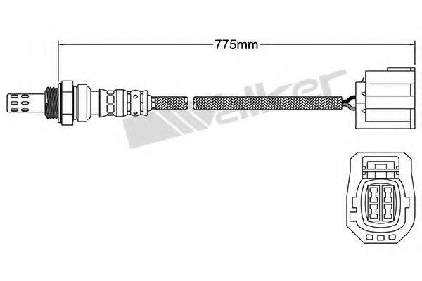 WALKER PRODUCTS 250-24718