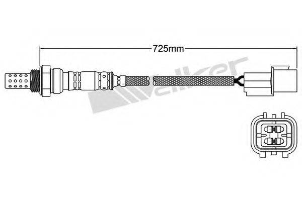 WALKER PRODUCTS 250-24631
