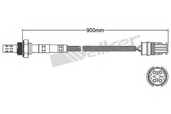 WALKER PRODUCTS 250-24444