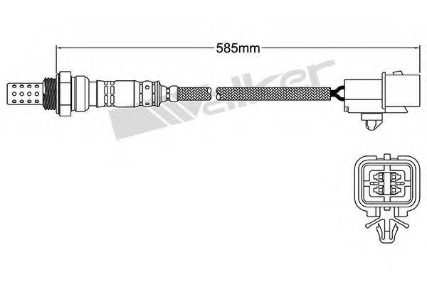 WALKER PRODUCTS 250-24239
