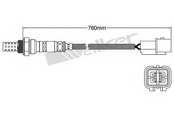 WALKER PRODUCTS 250-24242