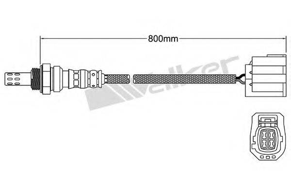 WALKER PRODUCTS 250-24661