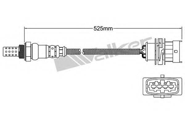 WALKER PRODUCTS 250-24847