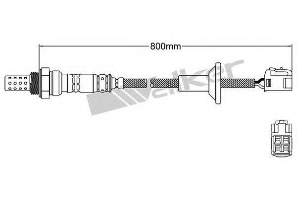 WALKER PRODUCTS 250-24188