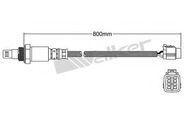 WALKER PRODUCTS 250-54058