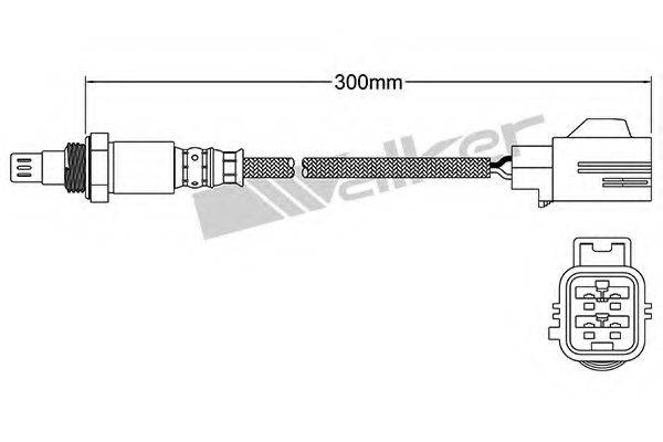 WALKER PRODUCTS 250-54062