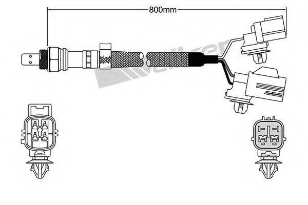 WALKER PRODUCTS 250-25066