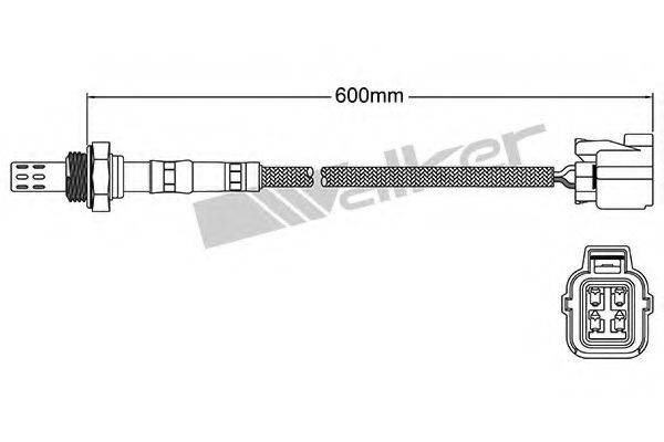 WALKER PRODUCTS 250-24922