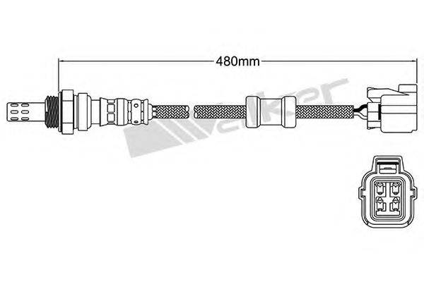 WALKER PRODUCTS 250-24343