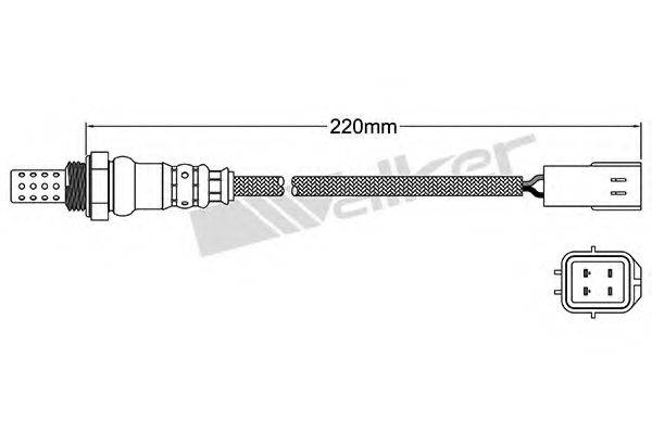 WALKER PRODUCTS 250-24438