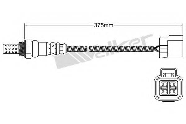 WALKER PRODUCTS 250-24349