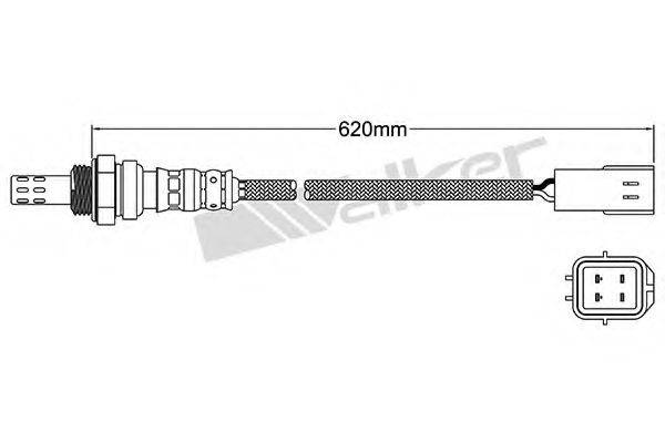 WALKER PRODUCTS 250-24475