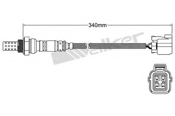 WALKER PRODUCTS 250-24620