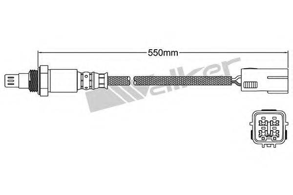 WALKER PRODUCTS 250-54031
