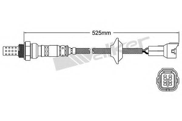 WALKER PRODUCTS 250-24442