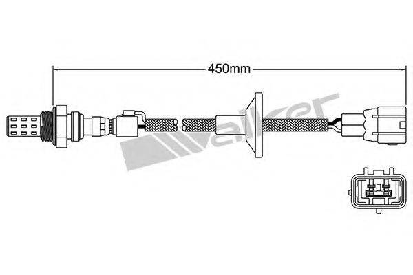 WALKER PRODUCTS 250-22011