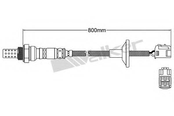 WALKER PRODUCTS 250-24483