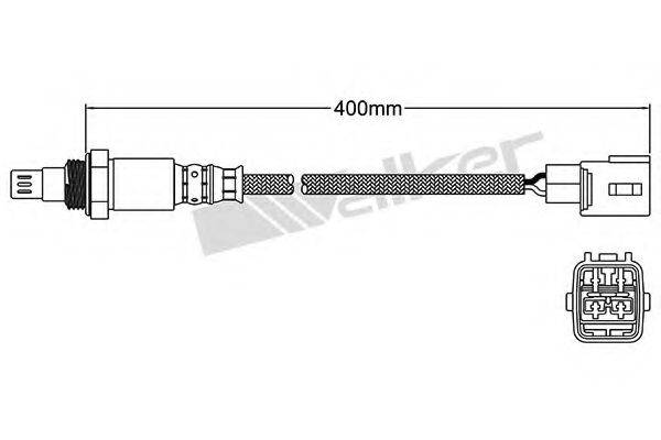 WALKER PRODUCTS 250-54006