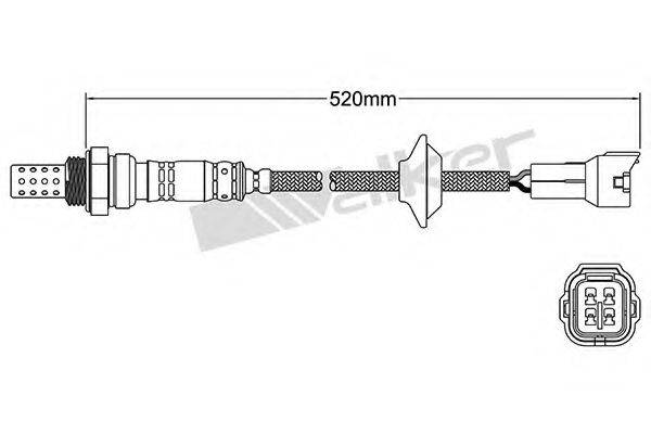 WALKER PRODUCTS 250-24060