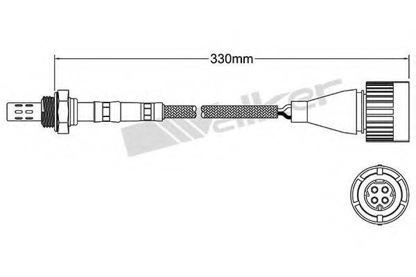 WALKER PRODUCTS 250-24605