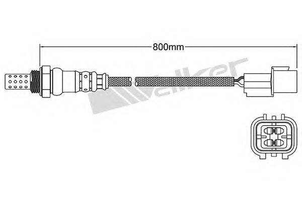 WALKER PRODUCTS 250-24236