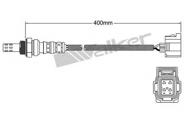 WALKER PRODUCTS 250-24253