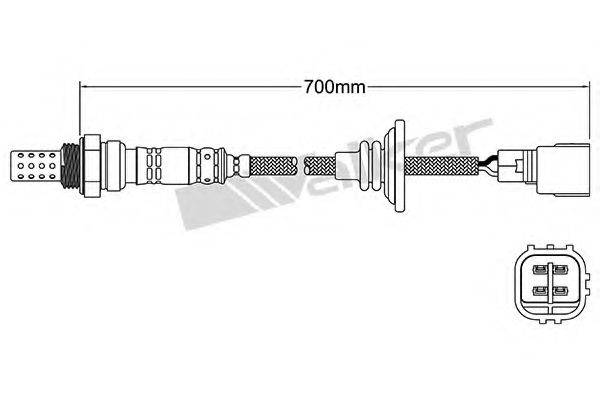 WALKER PRODUCTS 250-24938