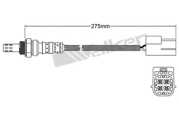 WALKER PRODUCTS 250-24951