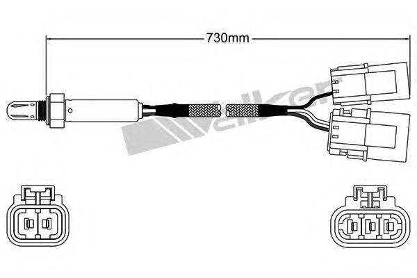 WALKER PRODUCTS 250-24505