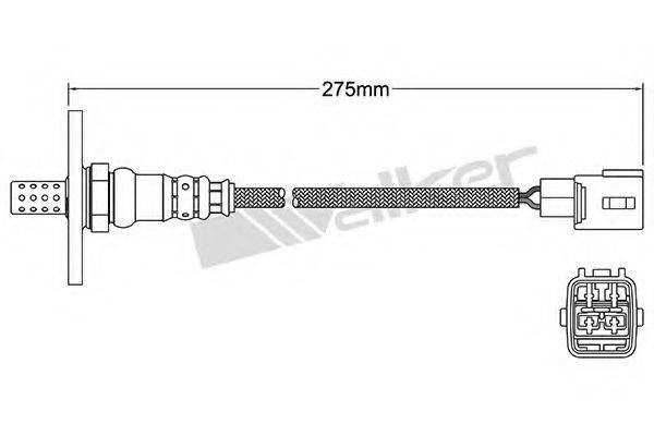WALKER PRODUCTS 250-24157