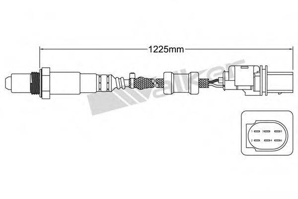 WALKER PRODUCTS 800-95019