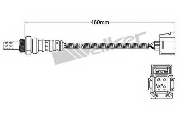 WALKER PRODUCTS 250-24251