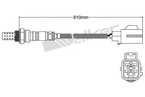 WALKER PRODUCTS 250-24408