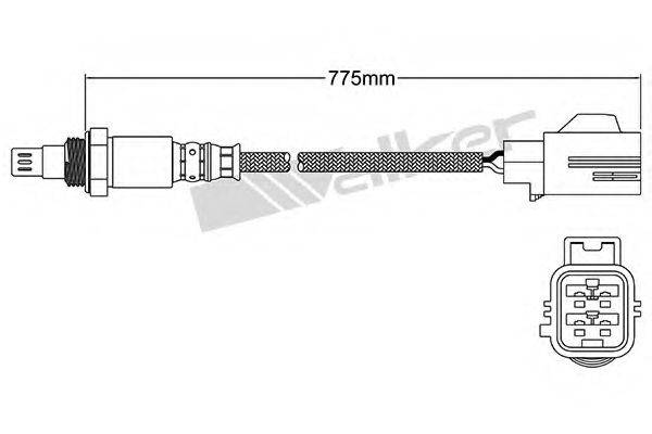 WALKER PRODUCTS 250-54077