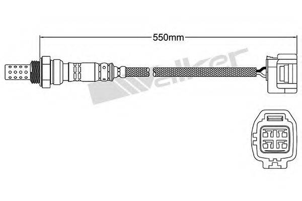 WALKER PRODUCTS 250-24439