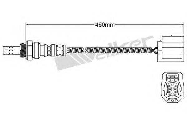 WALKER PRODUCTS 250-24660