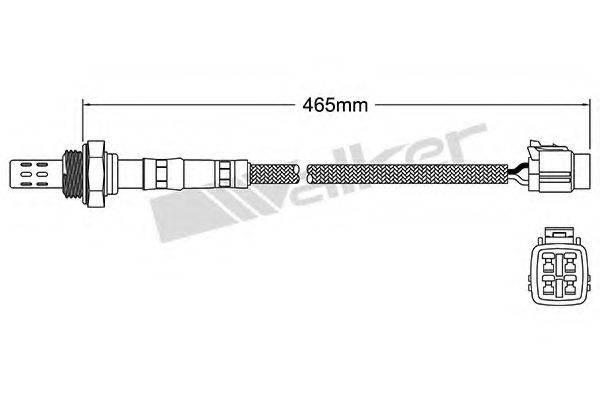 WALKER PRODUCTS 250-24295