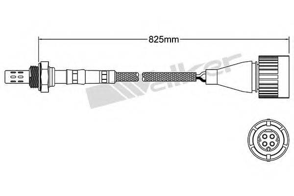 WALKER PRODUCTS 250-24025