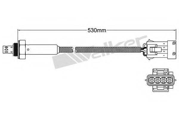 WALKER PRODUCTS 250-24814