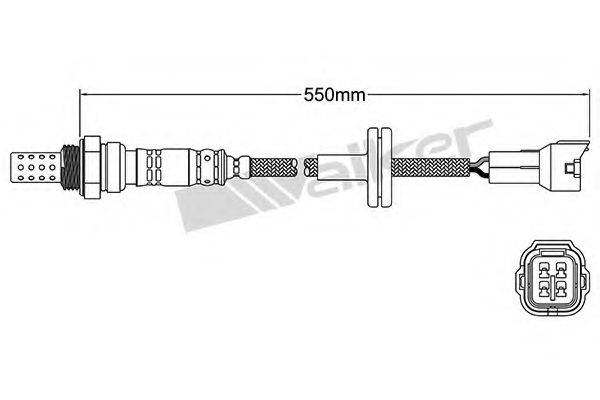 WALKER PRODUCTS 250-24967