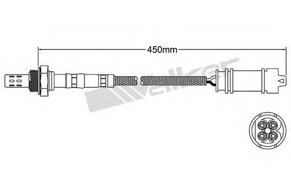 WALKER PRODUCTS 250-24638
