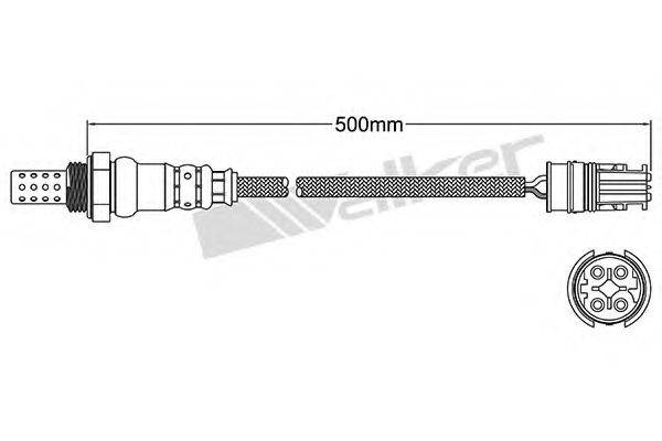 WALKER PRODUCTS 250-24465