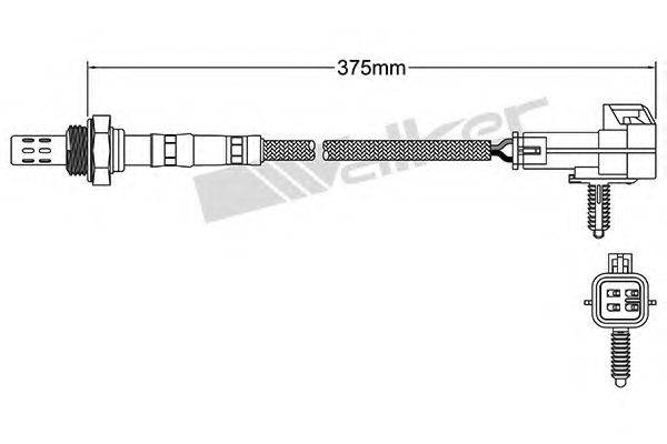 WALKER PRODUCTS 250-24018