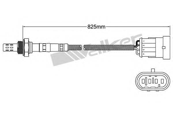 WALKER PRODUCTS 250-241019