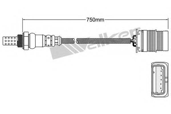 WALKER PRODUCTS 250-24991