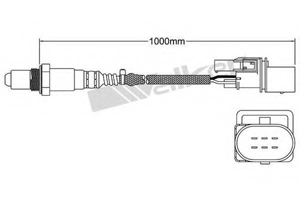 WALKER PRODUCTS 250-25054