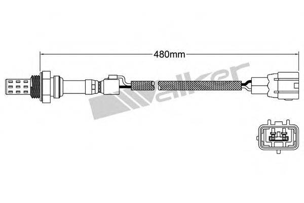 WALKER PRODUCTS 250-22003